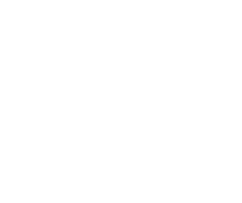 CEAER Logo
